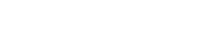 Y29L