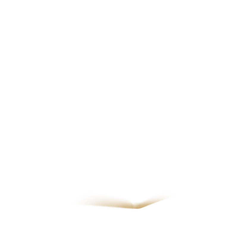 y33