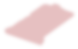 y66